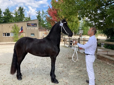Jinthe du Manoir pouliniere frison aux championnats de France