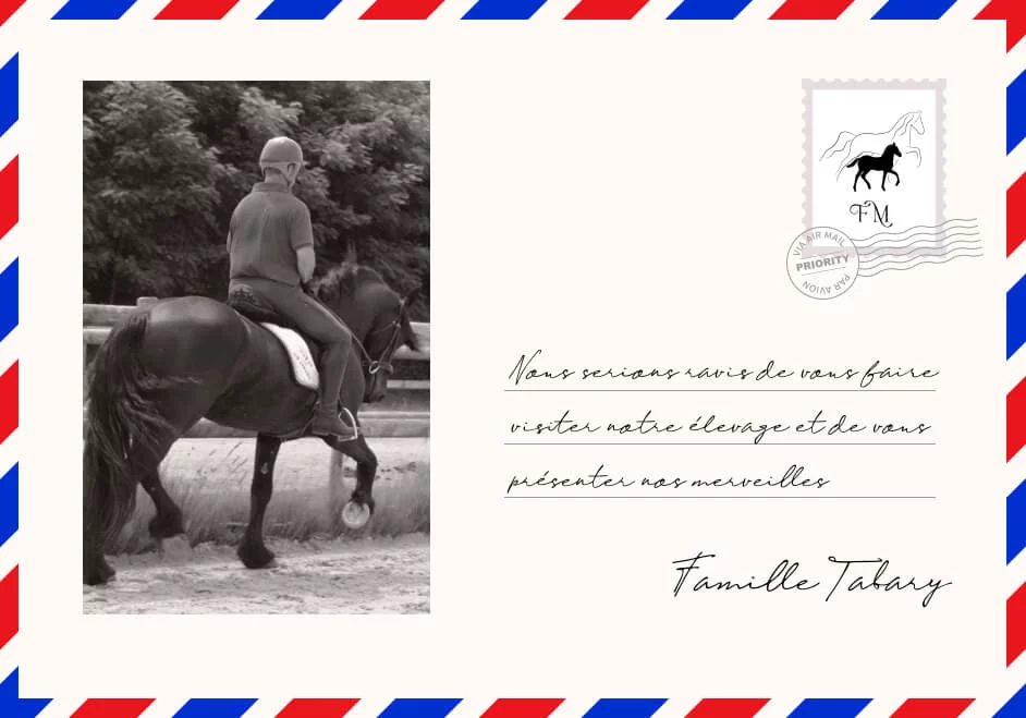 Et si votre rêve de frison devenait réalité