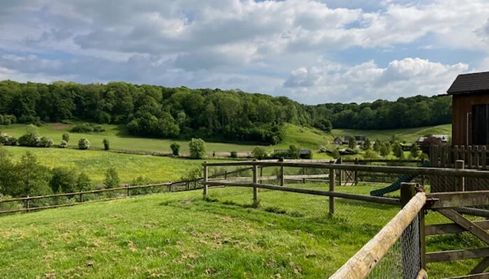 Notre élevage de frisons en Normandie au sein de la filière équine
