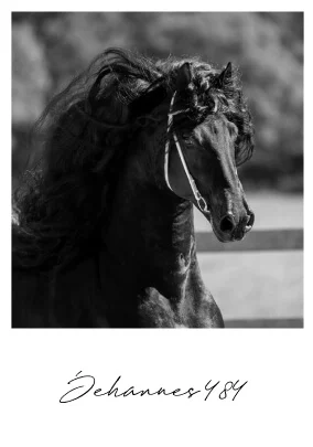 poulain-frison-2026-de-jehannes484