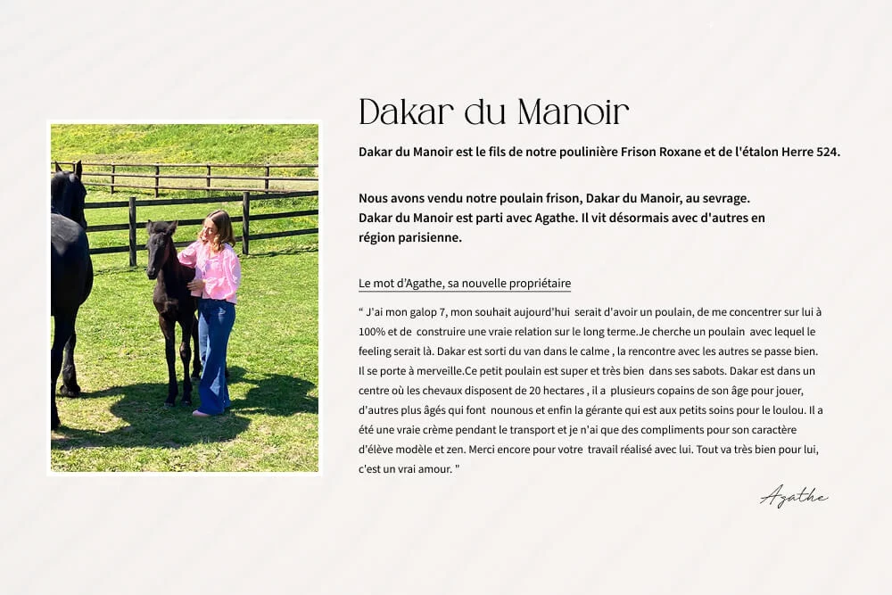 Témoignage de la propriétaire de notre poulain Frison Dakar du Manoir