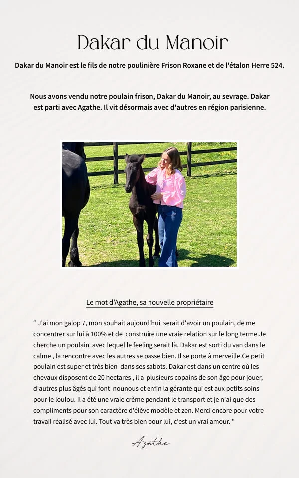 Témoignage de la propriétaire de notre poulain Frison Dakar du Manoir